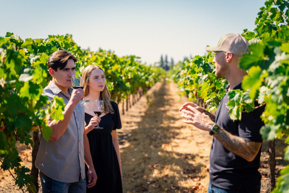 Harvest Tour & Tasting