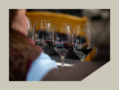 Wine Tasting Workshop